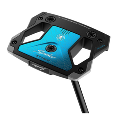 Collection image for: TaylorMade Spider